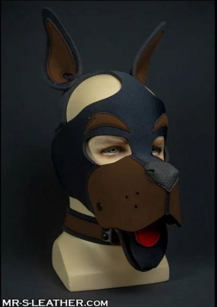 SNEO611T_Neo_Woof_Head_Harness_Brown_01.jpg