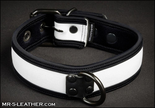 SNEO517w_collar_white_1.jpg