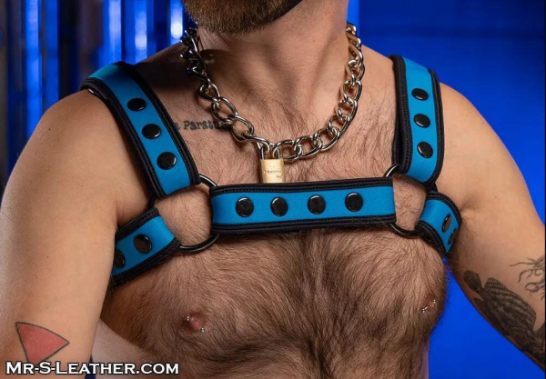 SNEO328Q0_Neo_Bold_Color_Bulldog_Harness_Aqua_03.jpg