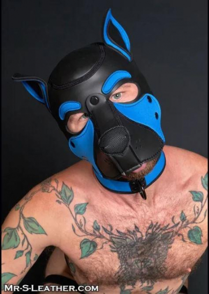 SNEO650LT_Neoprene_Frisky_Pup_Hood_Cobalt_3.jpg