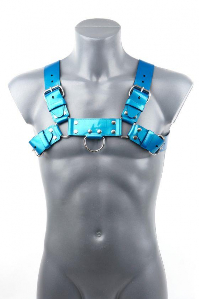 VAHCR03A0U3xxx_Chest_Harness_PS_Blue_1.jpg