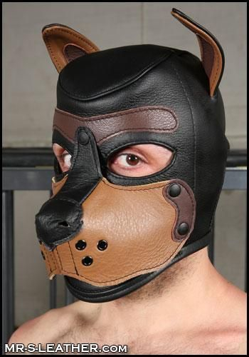 SHT236T_Leather_Puppy_Hood_blk_tan_1.jpg