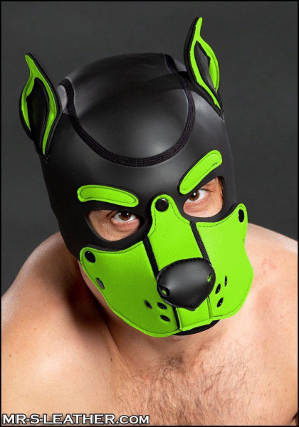 SNEO601L0_neoprene_k9_hood_lime_1.jpg