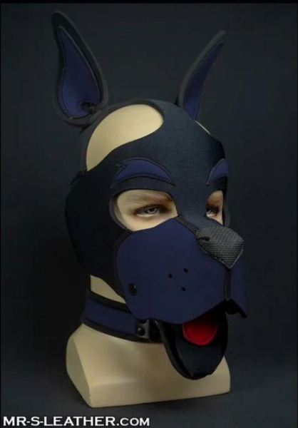 SNEO611N_Neo_Woof_Head_Harness_Navy_01.jpg