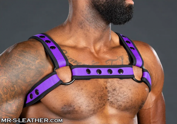 SNEO328P0_Neo_Bold_Color_Bulldog_Harness_Purple_01.png