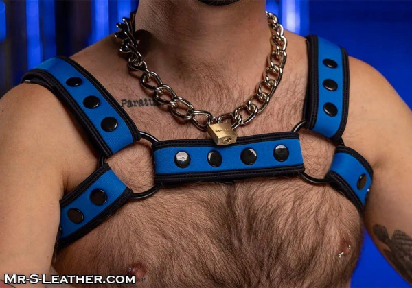 SNEO328LT0_Neo_Bold_Color_Bulldog_Harness_Cobalt_01.jpg