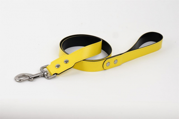 VABMR02A0Y0000_Dog_Leash_Long_Yellow_01.jpg