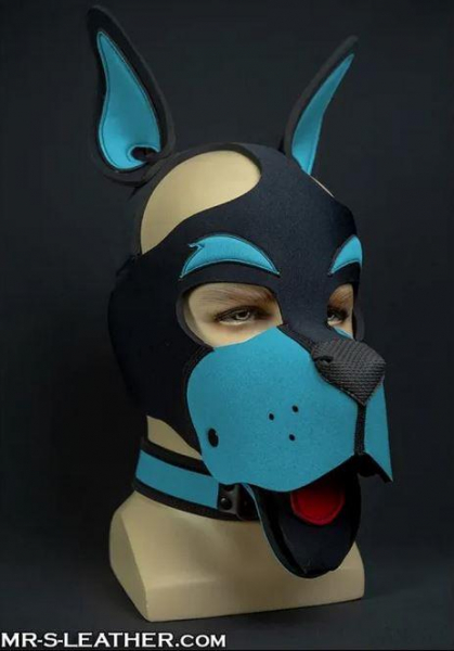 SNEO611Q_Neo_Woof_Head_Harness_Aqua_01.jpg