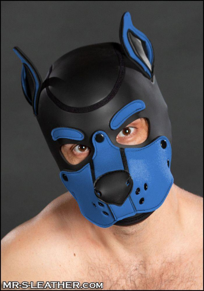 SNEO601LT0_neoprene_k9_hood_cobalt_1.jpg