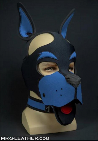 SNEO611LT_Neo_Woof_Head_Harness_Cobalt_01.jpg