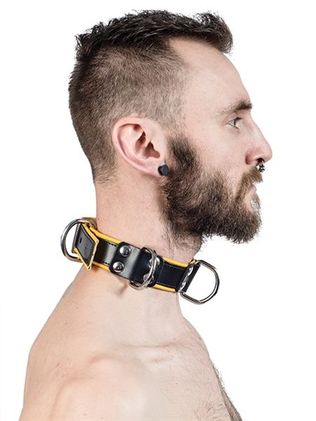 77610620_s_mister_b_leather_slave_collar_4_d_rings_yellow.jpg