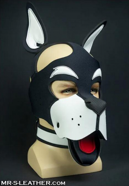 SNEO611W_Neo_Woof_Head_Harness_White_01.jpg