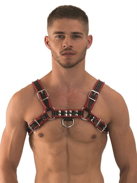 77600530_f_1_mister_b_leather_chest_harness_black_red_xl.jpg