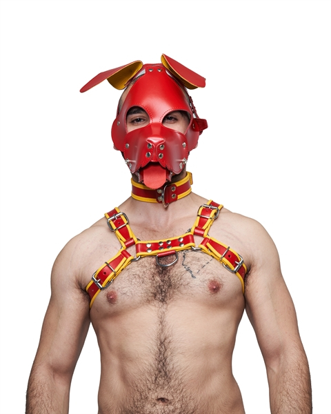 77634356_Leather_Circuit_Floppy_Dog_Hood_Red_Yellow_1.jpg