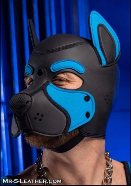 SNEO650Q_Neoprene_Frisky_Pup_Hood_Aqua_2.jpg