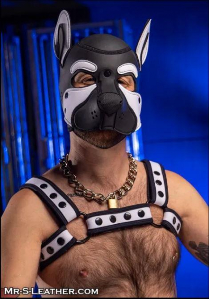 SNEO650W_Neoprene_Frisky_Pup_Hood_White_1.jpg