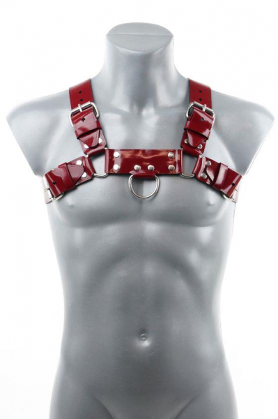 VAHCR03A0R3xxx_Chest_Harness_Plum_3.jpg