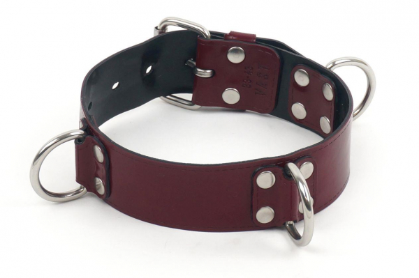 VABNR01A0R3000_Vast_Bondage_Collar_3_D_Rings_Plum.jpg