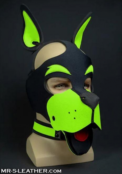 SNEO611L_Neo_Woof_Head_Harness_Lime_01.jpg