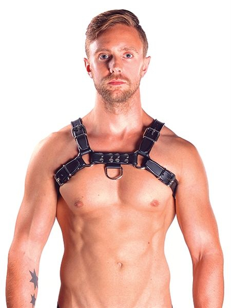 77600570_f_1_mister_b_leather_chest_harness_grey_s.jpg