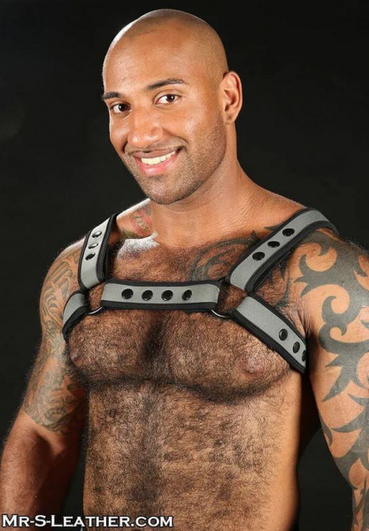 SNEO328G0_Neo_Bold_Color_Bulldog_Harness_Grey_01.jpg