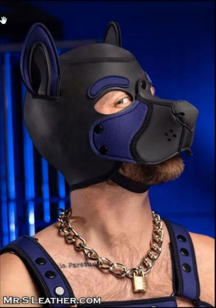 SNEO650N_Neoprene_Frisky_Pup_Hood_Navy_1.jpg