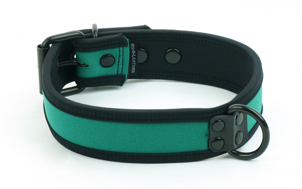 sneo517hl_neoprene_puppy_collar_hunter_black1.png