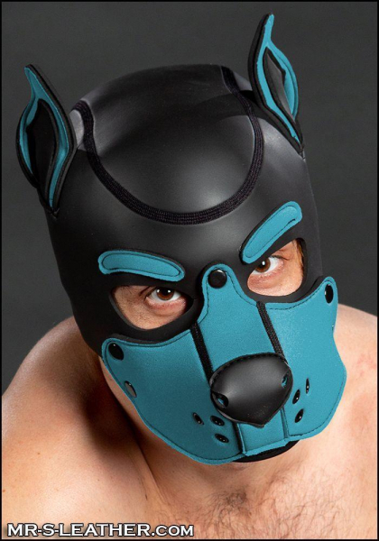 SNEO601Q0_neoprene_k9_hood_aqua_1.jpg