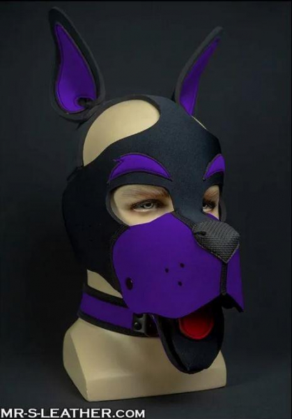 SNEO611P_Neo_Woof_Head_Harness_Purple_01.jpg