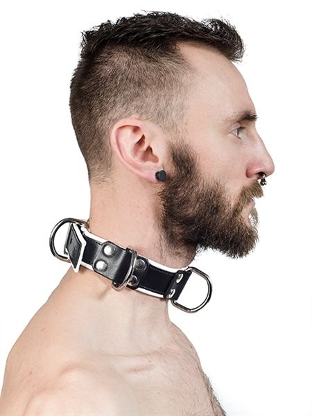 77610640_s_mister_b_leather_slave_collar_4_d_rings_white.jpg