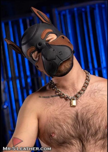 SNEO650T_Neoprene_Frisky_Pup_Hood_Brown_2.jpg