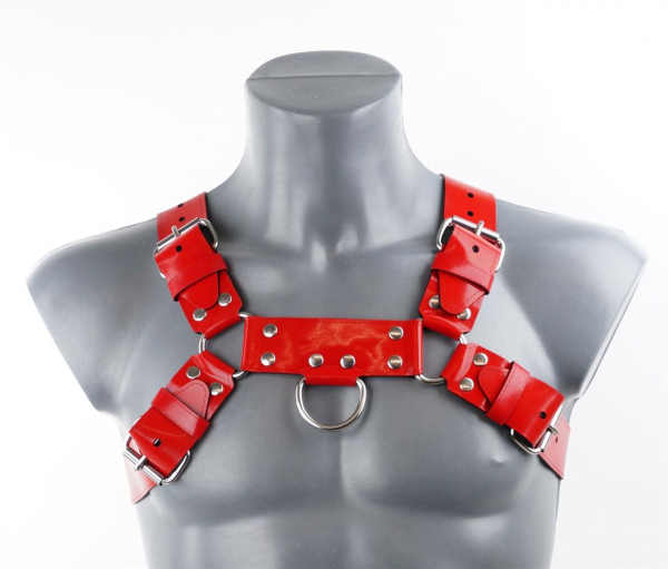 vahcr03a0r0004_vast_stitched_design_chest_harness_red_2.jpg