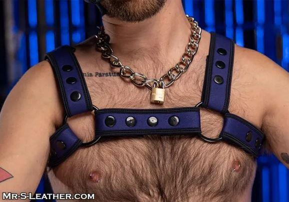 SNEO328N0_Neo_Bold_Color_Bulldog_Harness_Navy_01.jpg