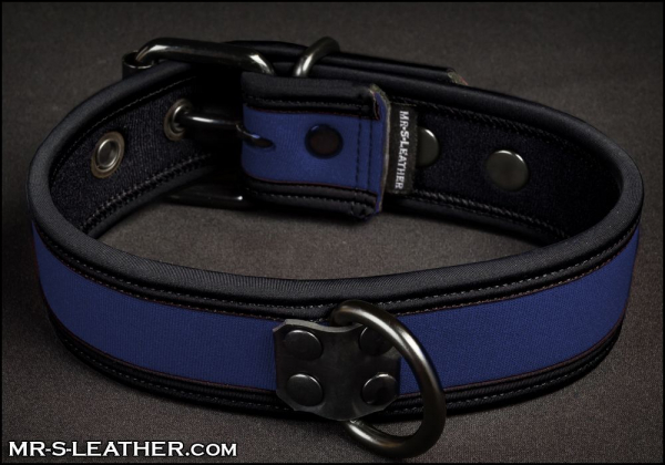 SNEO517b_collar_royal_1.jpg