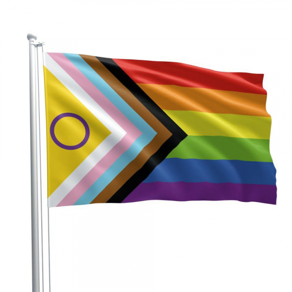 77834140_intersex_progress_pride_flag_01.jpg