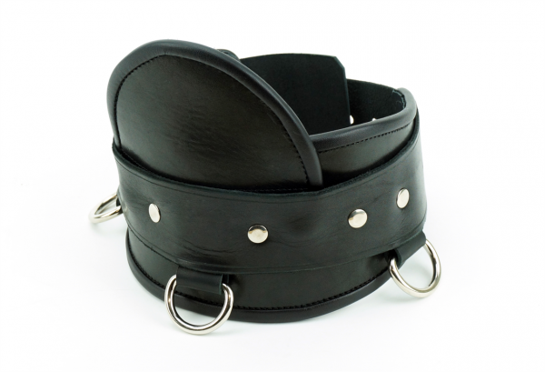 SSL061_Heavy_Duty_Posture_Collar_7.png