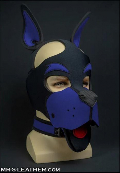 SNEO611B_Neo_Woof_Head_Harness_Royal_01.jpg