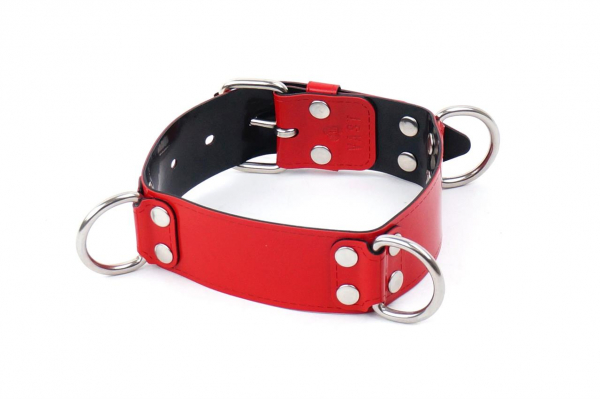 vabnr01a0r0000_vast_bondage_collar_with_3_d_rings_red_1.jpg