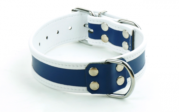 77604301_mister_b_leather_circuit_collar_blue_white_2.png