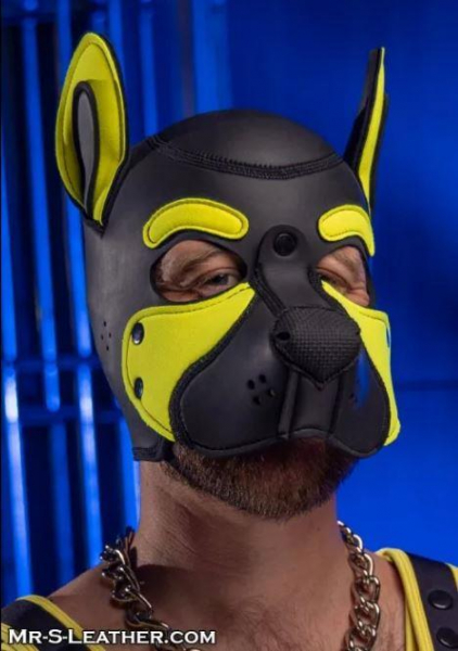 SNEO650Y_Neoprene_Frisky_Pup_Hood_Yellow_2.jpg