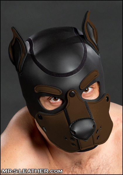 SNEO601T0_neoprene_k9_hood_brown_1.jpg