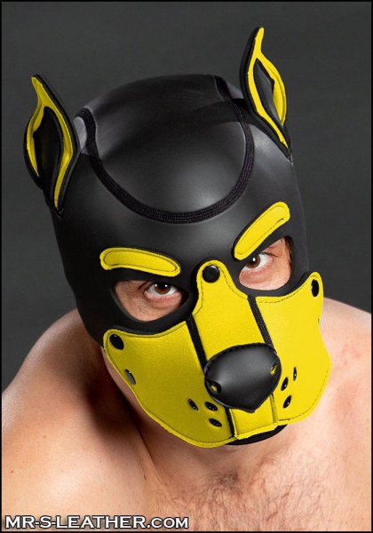 SNEO601Y0_neoprene_k9_hood_yellow_1.jpg