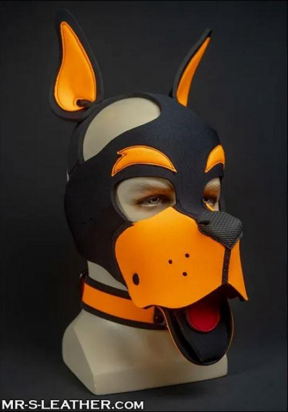 SNEO611O_Neo_Woof_Head_Harness_Orange_01.jpg