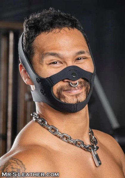 SNEO630_face_muzzle_harness_01.jpg