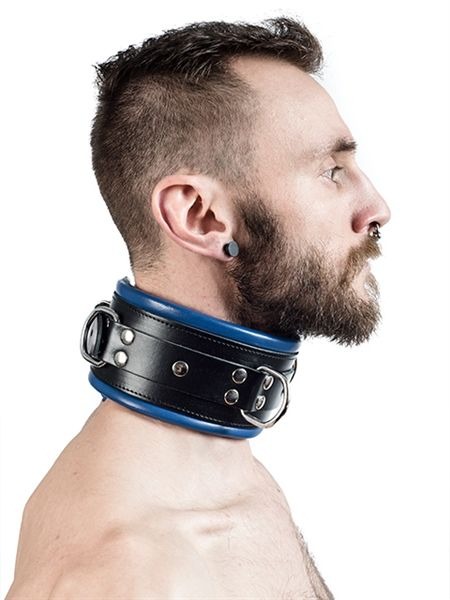 77610810_s_copy_mister_b_leather_slave_collar_blue_padding.jpg