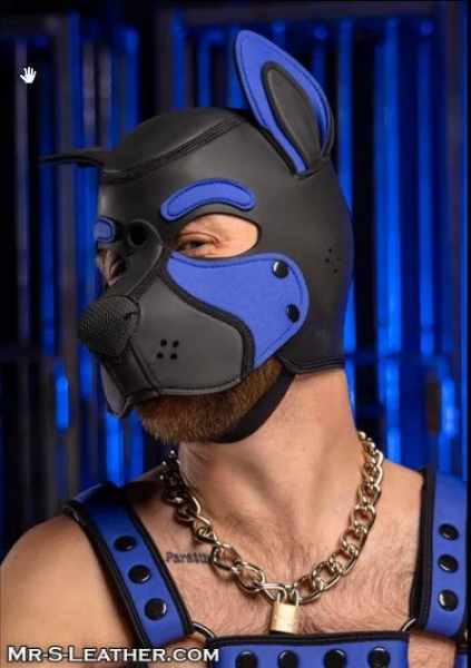 SNEO650B_Neoprene_Frisky_Pup_Hood_Royal_1.jpg