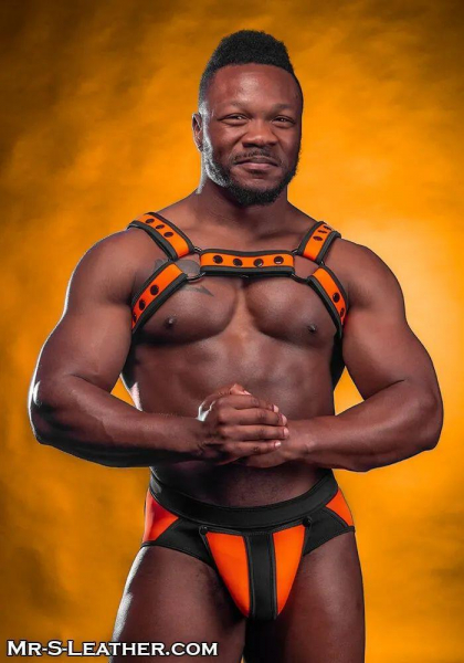 SNEO328O0_Neo_Bold_Color_Bulldog_Harness_Orange_01.jpg