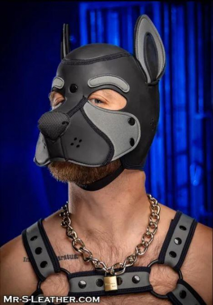 SNEO650G_Neoprene_Frisky_Pup_Hood_Grey_1.jpg