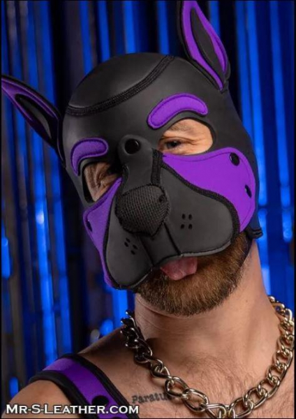 SNEO650P_Neoprene_Frisky_Pup_Hood_Purple_3.jpg