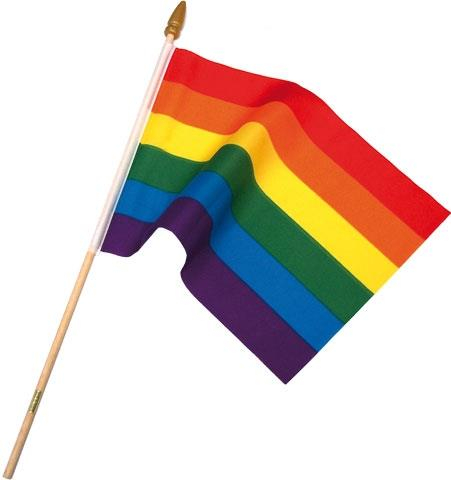 77833500_Gay_Rainbow_Pride_Flag_On_Stick_01.jpg